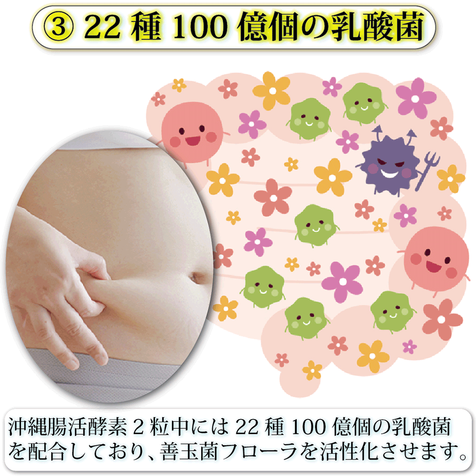 沖縄腸活酵素【60粒30日分】酵素 コンブチャ 穀物麹 22種100億個の乳酸菌 えごま油 亜麻仁油 オリーブ油配合 酵素サプリメント  ダイエットサプリ こうそ :tcw20:酒豪伝説特売店コザまーけっと - 通販 - Yahoo!ショッピング