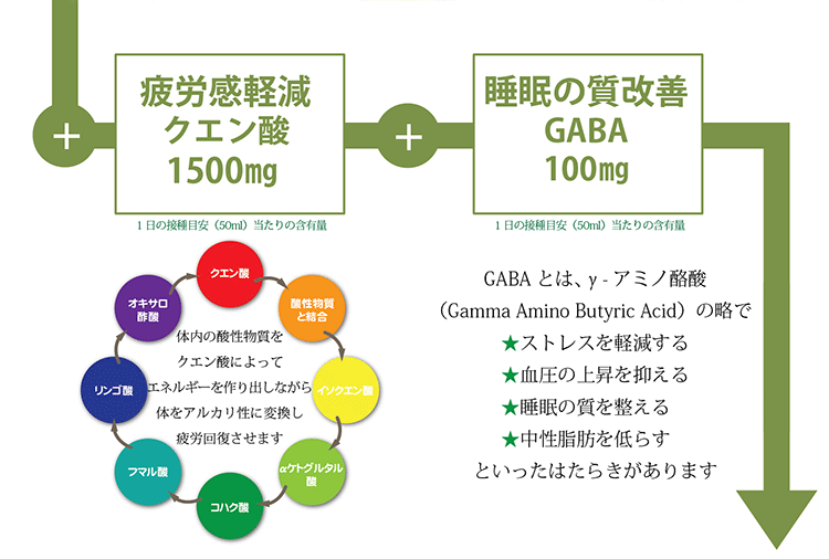 シークヮーサー全快酢 1000ml 機能性表示食品 シークヮーサー GABA ギャバ フルーツ酢 疲労感 軽減 睡眠 改善 オキハム 睡眠不足 ストレス 睡眠の質 向上