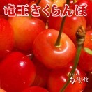 旬のフルーツ
