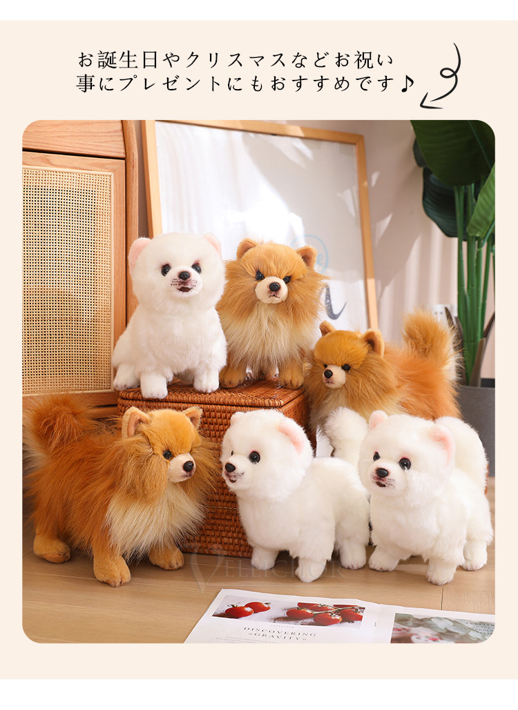 ぬいぐるみ ポメラニアン 犬 リアル 本物そっくり 生々しい いぬ