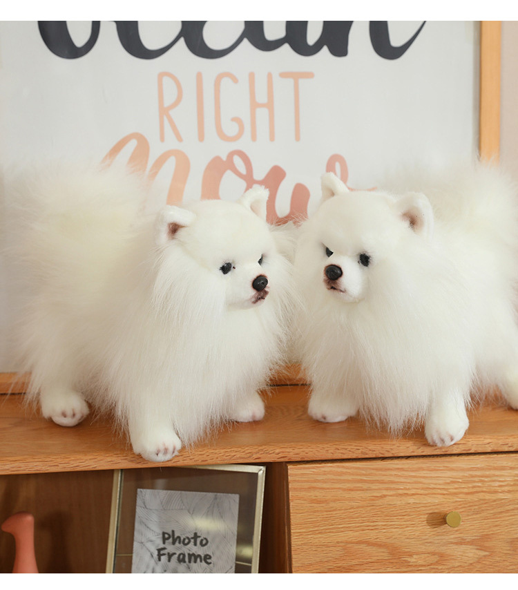 ぬいぐるみ ポメラニアン 犬 リアル 本物そっくり 生々しい いぬ