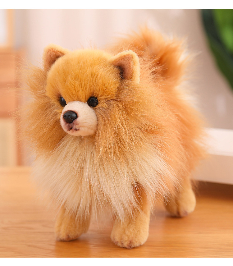 ぬいぐるみ ポメラニアン 犬 リアル 本物そっくり 生々しい いぬ