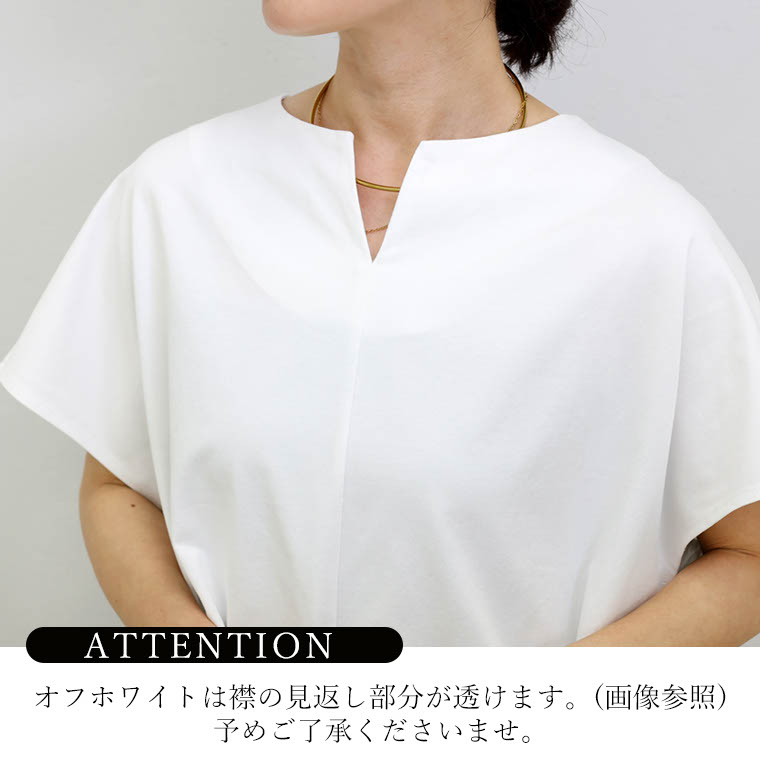 Aletta vita カットソー バックフリル 立体 バックシャン