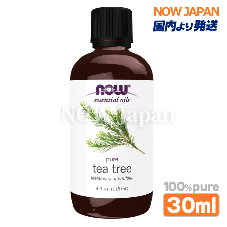 NOW Foods（ナウフーズ） ティーツリー 精油 業務用 118mL(4fl.oz.) 大