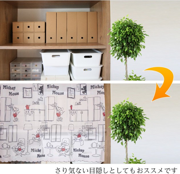 カフェカーテン かわいい ディズニー ミッキーマウス シースルー 100 70cm Cafe 0150 エヌズファーニチャー 通販 Yahoo ショッピング