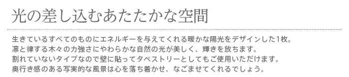 暖簾 norenn カーテン 間仕切り タペストリー 自然 森 森林 川 せせらぎ 木漏れ日 木洩れ日 陽光 射光 風景 奥行き 写実的 絵画風