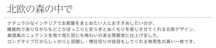 暖簾 norenn カーテン 間仕切り タペストリー インテリア 目隠し 北欧 洋風 北欧風 ノルディック かわいい モダン シンプル ホルテンシア 紫陽花 アジサイ ボタニカル ロング丈 170cm丈