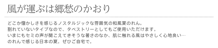 暖簾 norenn カーテン 間仕切り タペストリー パーテーション インテリア 窓 和室 和柄 清涼感 蚊取り線香 風鈴 朝顔 スイカ 入道雲 すだれ 簾 日本の夏 ノスタルジック JAPANESE NIPPON