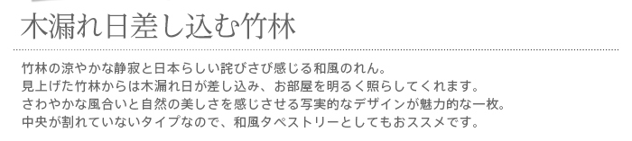 暖簾 norenn カーテン 間仕切り タペストリー パーテーション インテリア 和柄 自然 竹 竹林 京都 古都 日本 bamboo バンブー 日本の夏 涼風 写実的 リアリスティック JAPANESE NIPPON