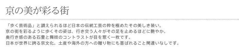 暖簾 norenn カーテン 間仕切り 仕切りカーテン タペストリー スクリーン 目隠し 和風暖簾 和風 和柄 和室 和モダン 京文化 芸者 芸妓 舞妓 着物 京都 古都 だらり帯 GEISHA MAIKO NIPPON JAPAN