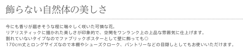 暖簾 norenn カーテン 間仕切り 仕切りカーテン スクリーン タペストリー 目隠しリアリスティック ボタニカル 花 かわいい 世界の花 マーガレット おしゃれ 自然 植物 春 シーズンレス 北欧 ナチュラル カントリー リビング ダイニング キッチン 寝室 廊下 階段下 インテリア