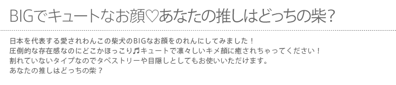 暖簾 norenn カーテン 間仕切り 仕切りカーテン タペストリー スクリーン 目隠し 仕切り 和風 和柄 犬グッズ ビーグル ダックスフント シーズー 小型犬 かわいい シルエット 小犬