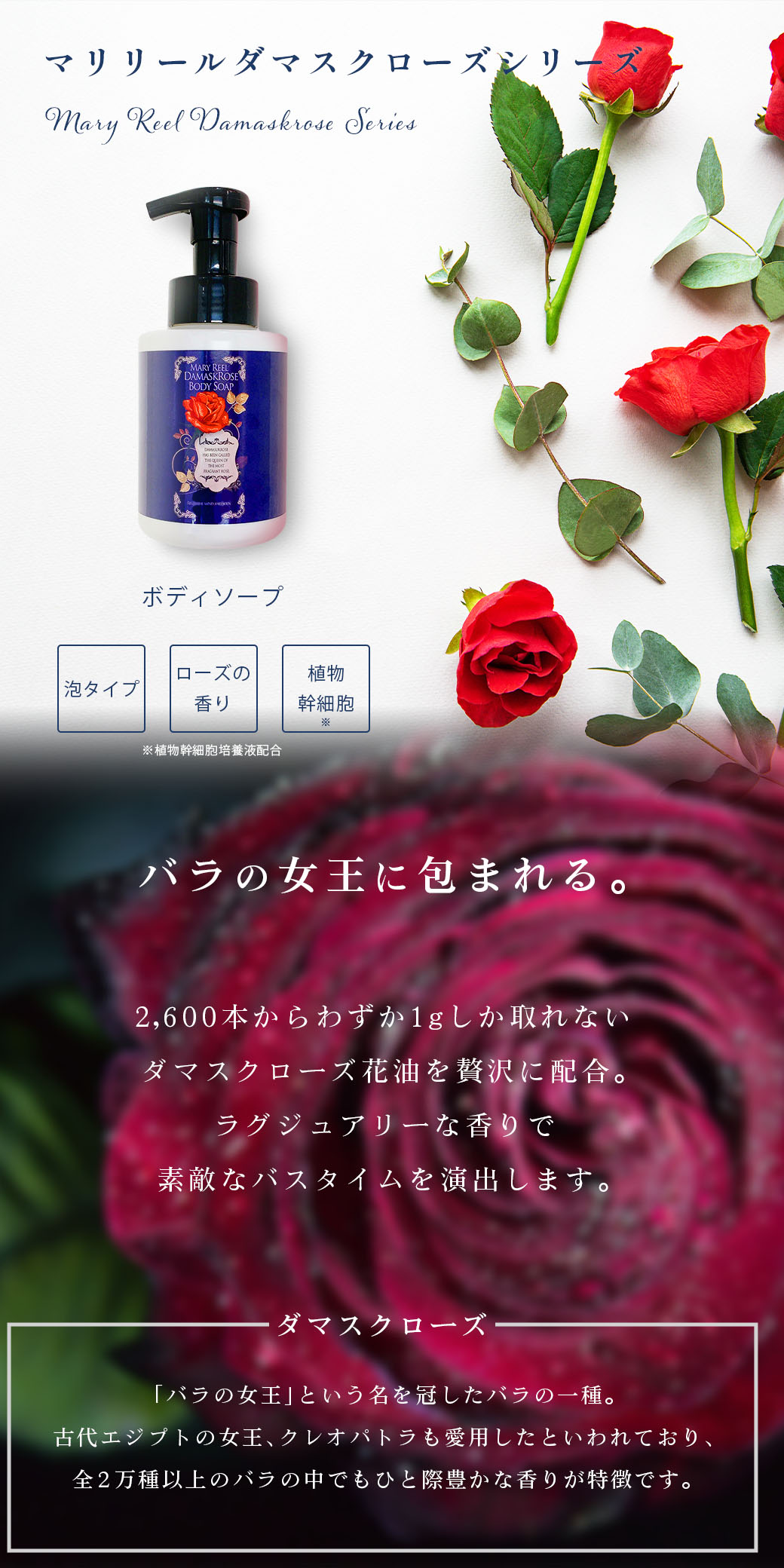 MaryReel ボディソープ ダマスクローズシリーズ 泡ソープ アミノ酸
