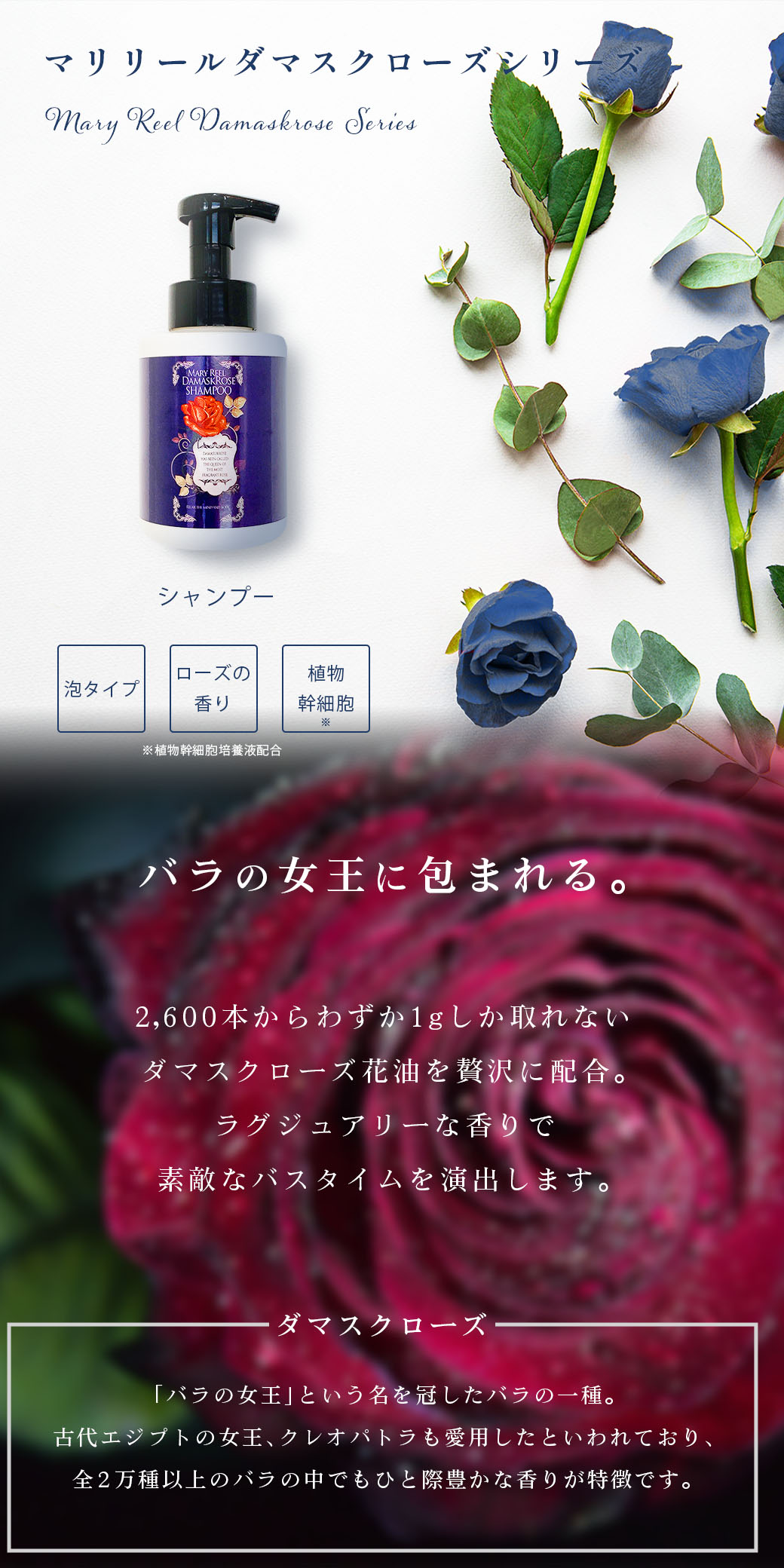 MaryReel シャンプー ダマスクローズシリーズ 泡シャンプー アミノ酸