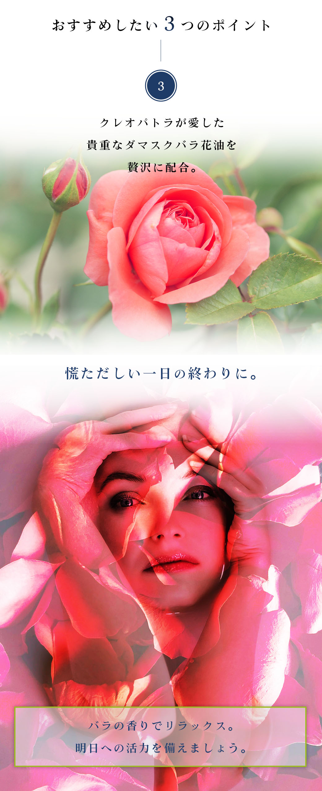MaryReel トリートメント ダマスクローズシリーズ アミノ酸 植物幹細胞