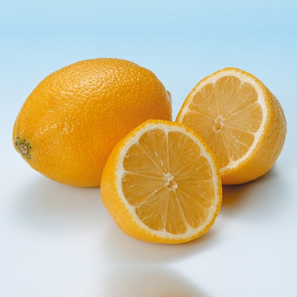 タオルウォーマー アロマチップ TAIJI 全3種 30個入り おしぼり