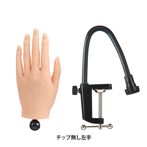 ハンドモデル マネキン 右手 左手 練習用 トレーニング用
