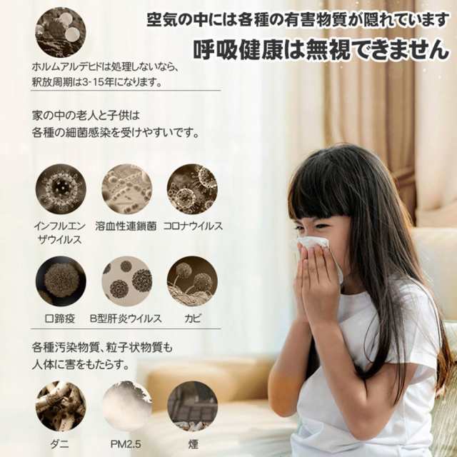空気清浄機 空気清浄器 コンパクト マイナスイオン発生 イオン 消臭 除