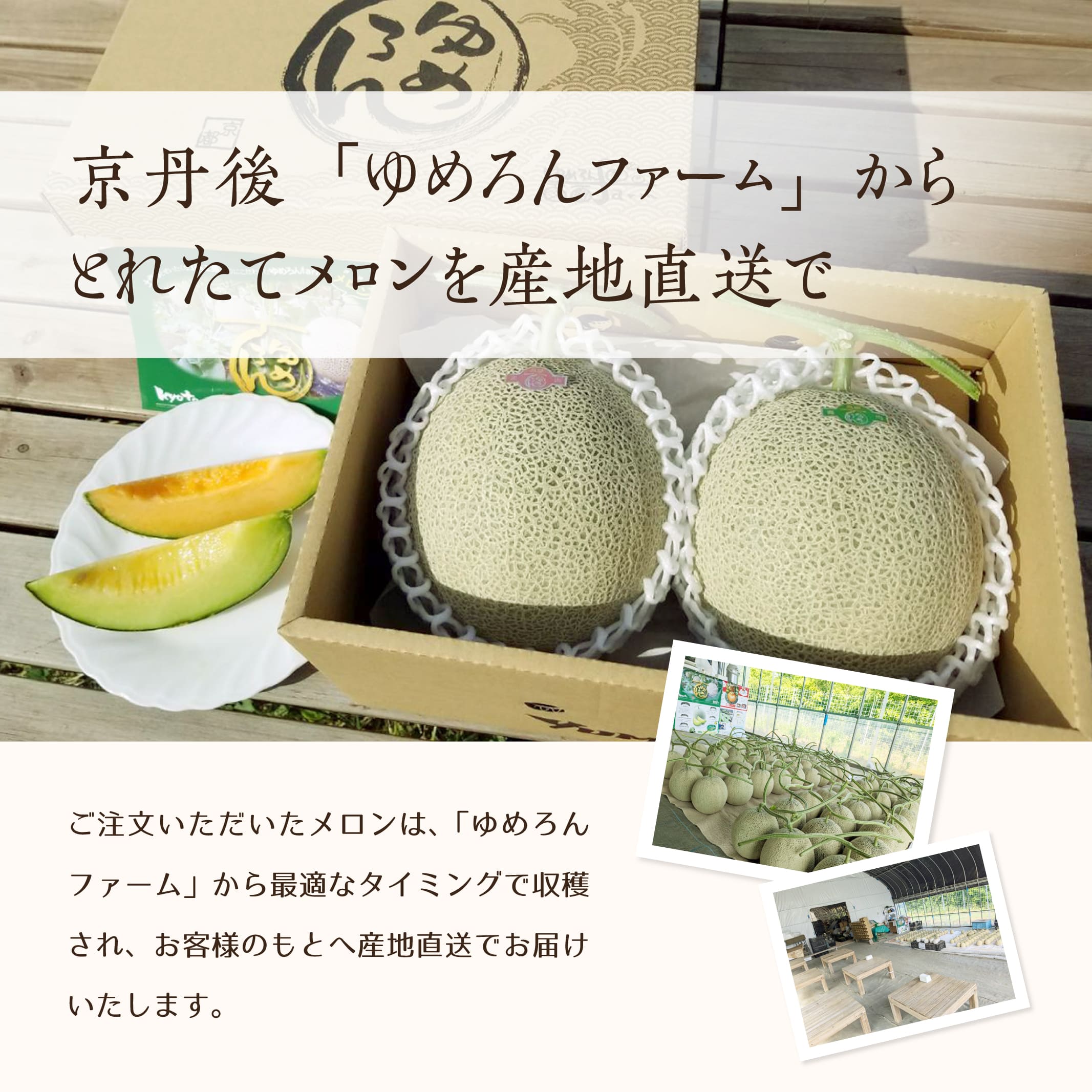 メロン 北海道メロン2kg (3Lサイズ) 1玉/2玉/4玉 北海道産 ギフトに赤肉