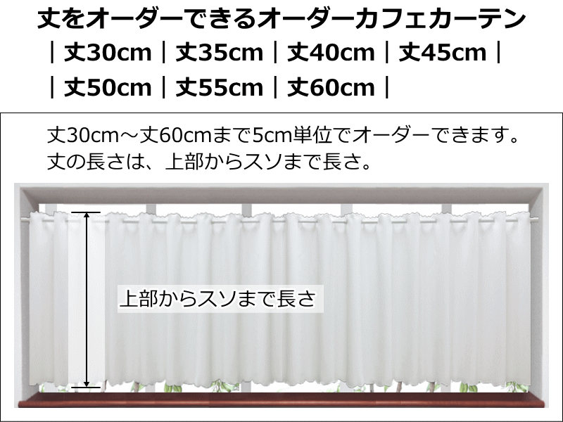サイズ