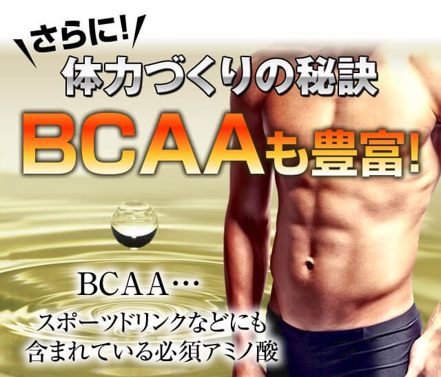 体力づくりの秘訣BCAAも豊富