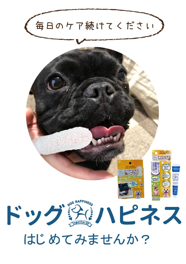 市場 ドッグハピネス 犬用 デンタルケア 指ハブラシ ソーシン