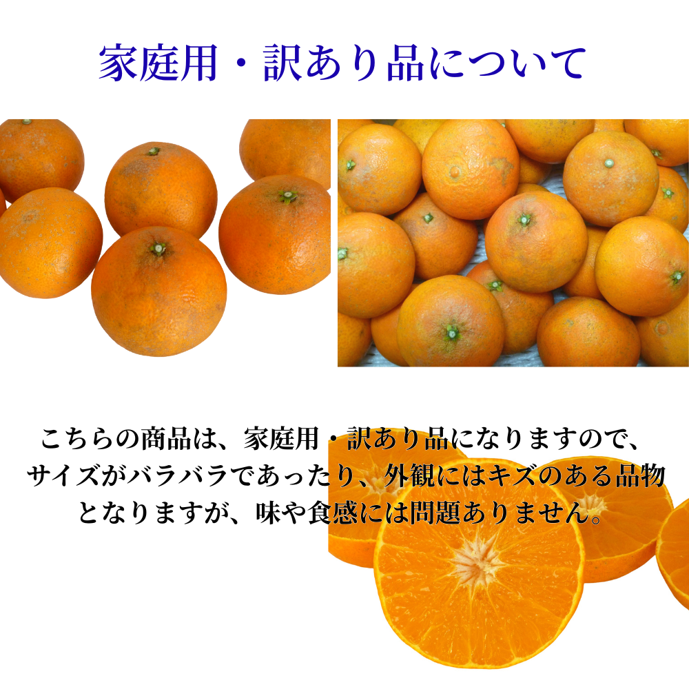 702愛果 まどんな 訳あり 10kg Amazon.co.jp: まどんな 訳あり 10kg 紅まどんな と同品種 愛媛 中島産