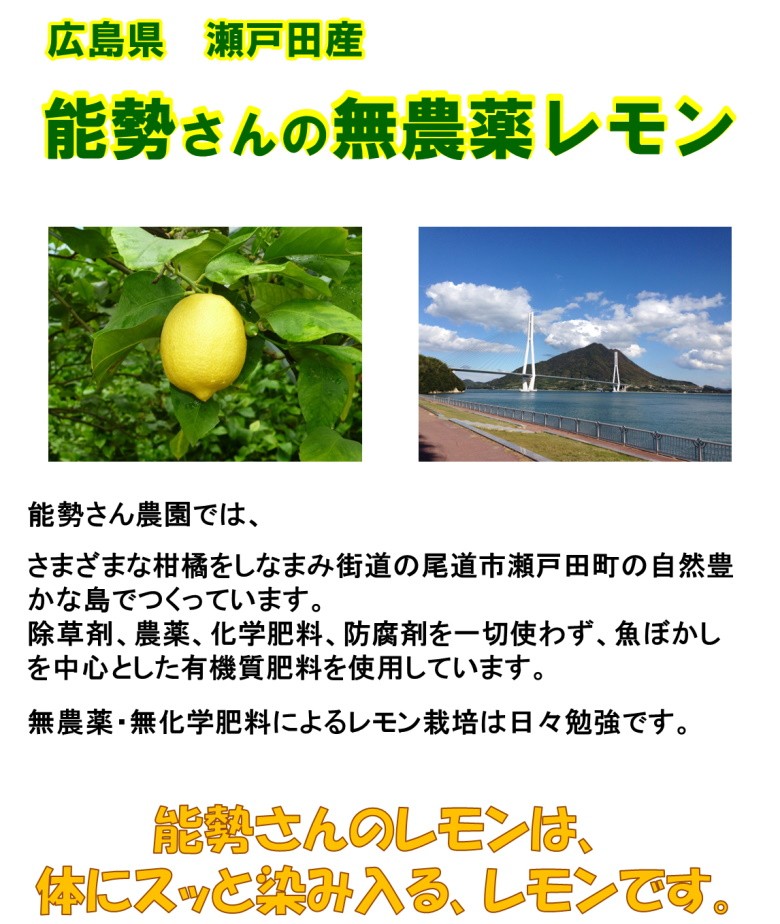瀬戸田レモン　グリーンレモン　皮ごと食べて　防腐剤不使用　ノーワックス　広島