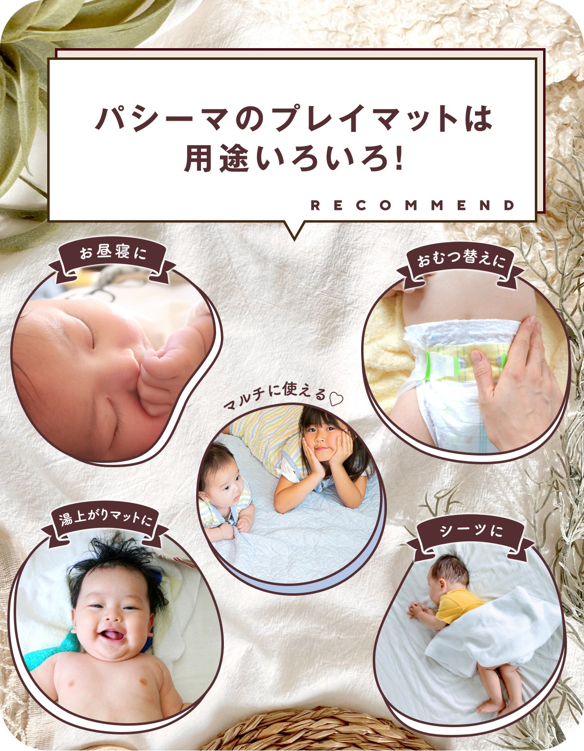 パシーマ ZIP!でパシーマが紹介されました! パシーマ限定