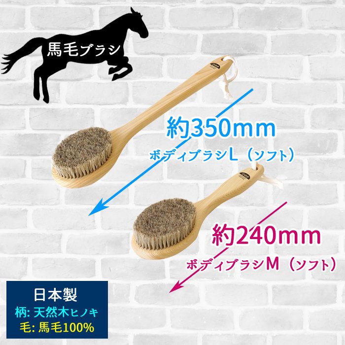 馬毛 フェイス ブラシ 顔用 15cm やや硬め ソフト 馬毛100% ブラッシング フェイスケア 美顔 美肌 小顔 美容 天然素材 天然木 角質  除去 つるつる 風呂 洗面所