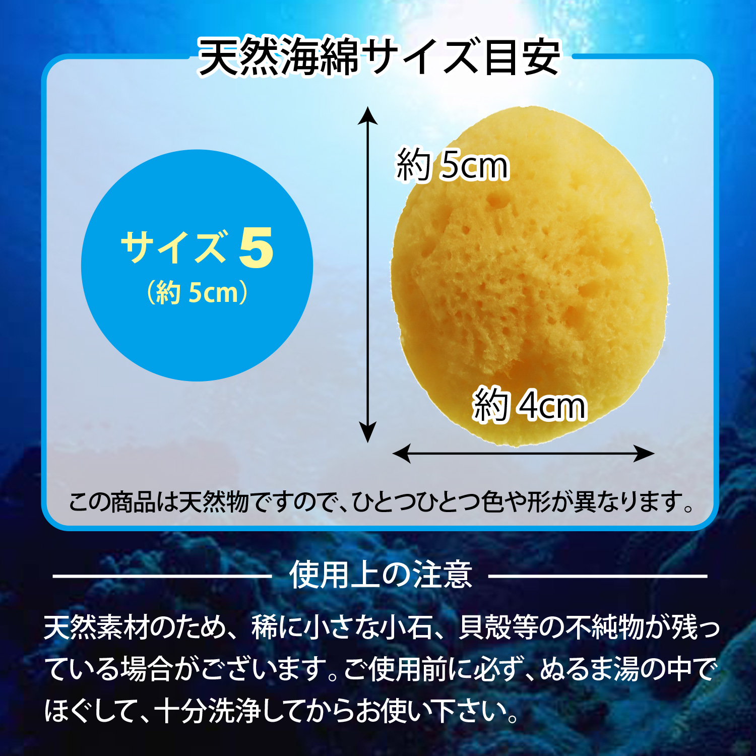 天然大海綿 クリーム色 約15cm 000seasponge5.jpg