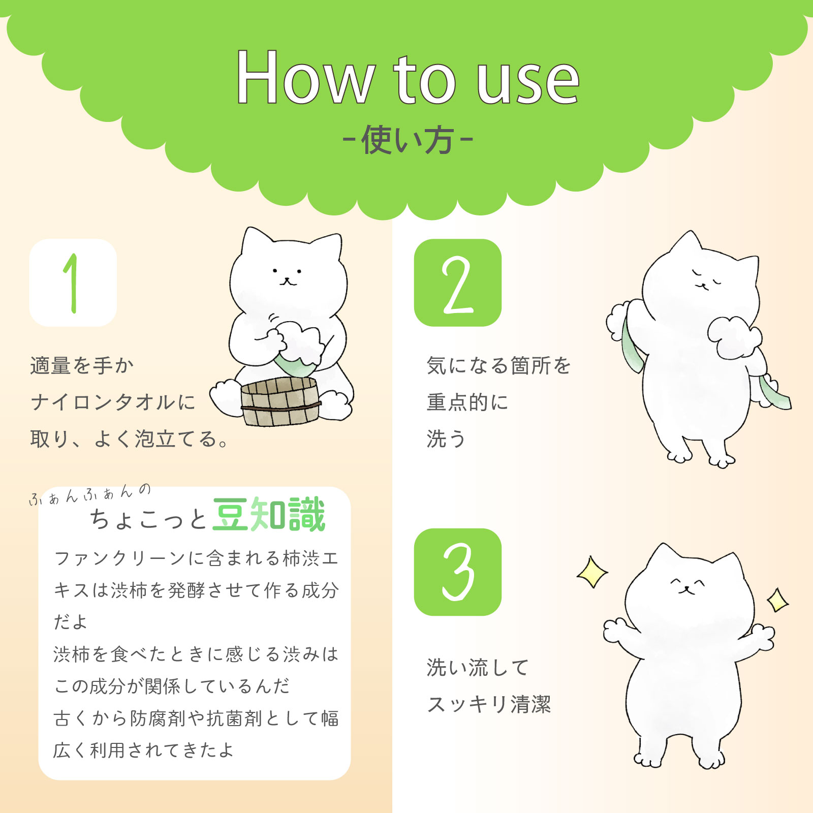 ホホバ6