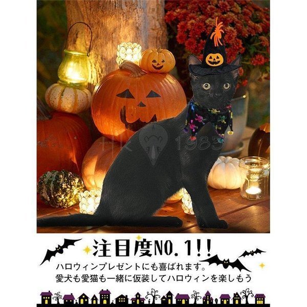 ❤️大人気❤️猫 犬 ハロウィン 帽子 マント セット ペット用 仮装 コスプレ