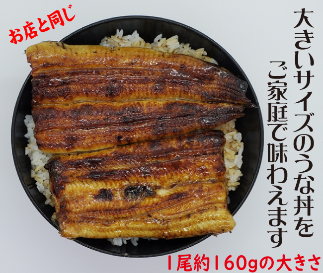大きさ