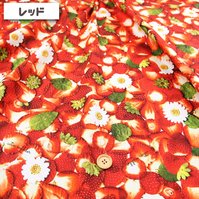 生地 布地 布 CUT straberry&f...の詳細画像2