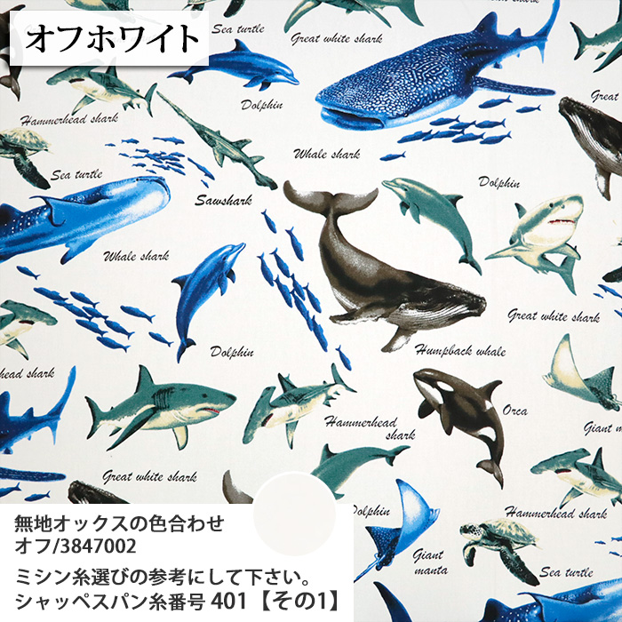 生地 布地 布 無料レシピ有 水族館 オックス生地 ジンベイザメ イルカ 