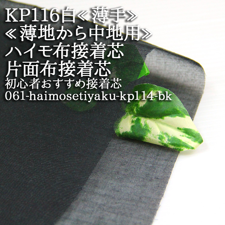    KP116  ϥ Ϥ 4250m 鿴Ը  ϥɥᥤ 50cmñ