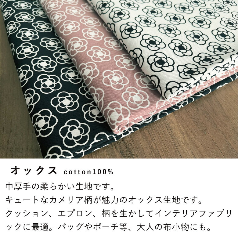 カメリア　入園入学　オックス