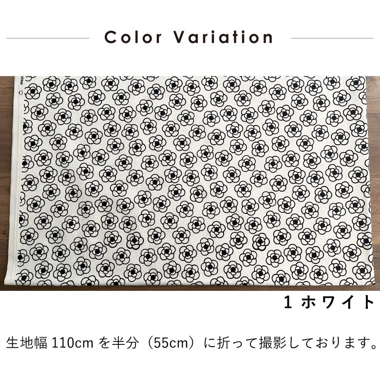 カメリア　入園入学　オックス