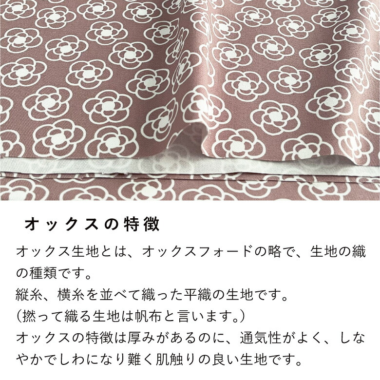 カメリア　入園入学　オックス