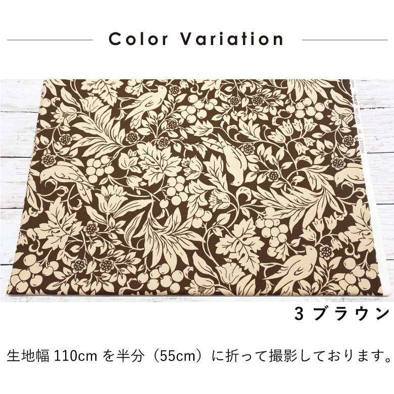 販促用非売品ポスター　コットン　COTTON 販促用非売品ポスター コットン COTTON