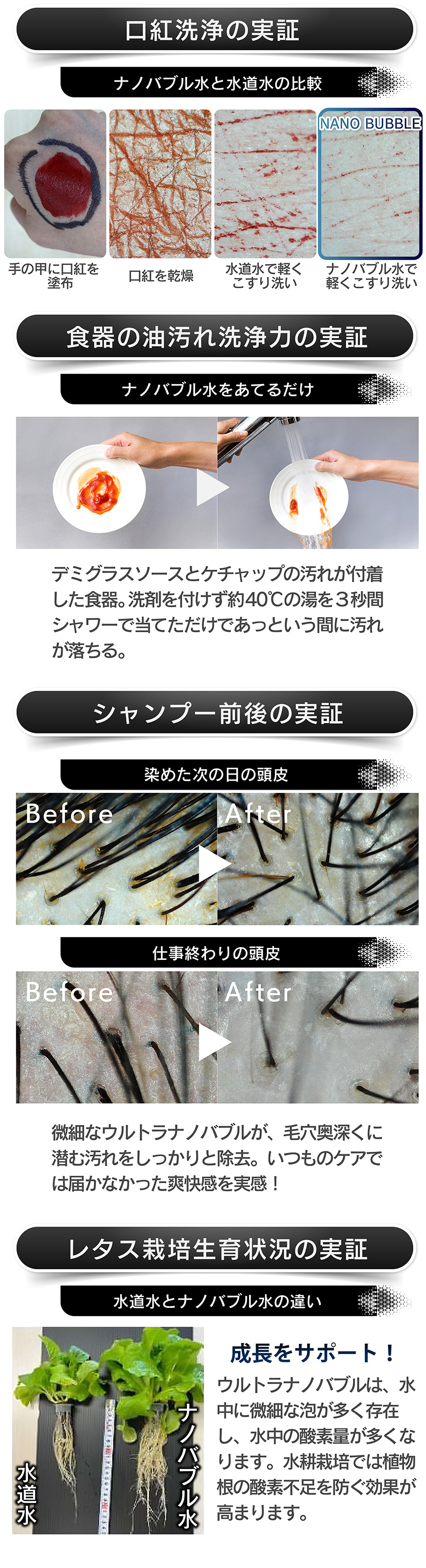 実証2