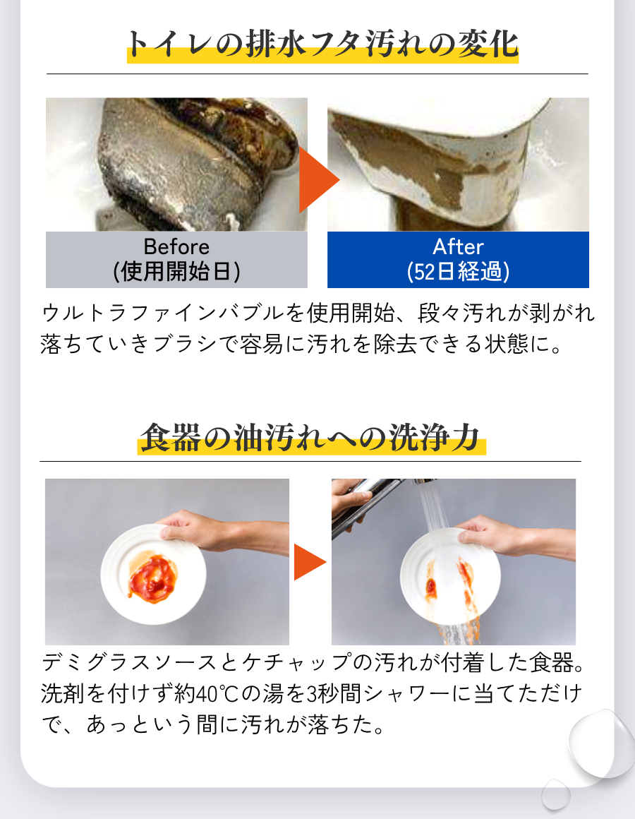 実証4