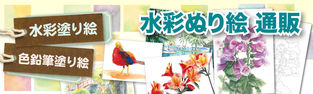 水彩ぬり絵通販 ヘッダー画像