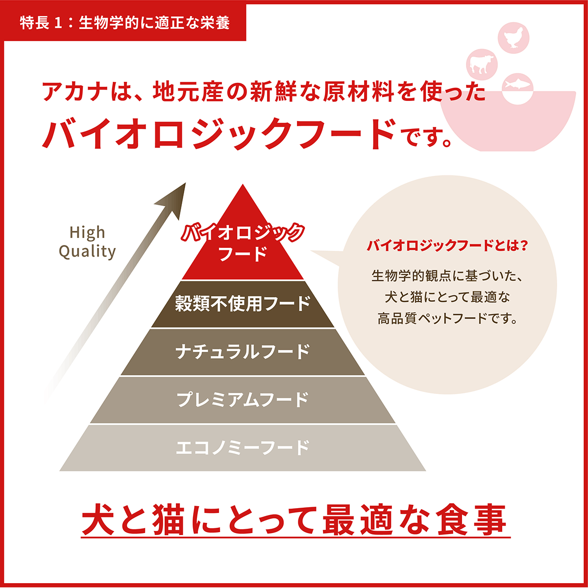 ACANA（アカナ） (訳あり/期限切迫品) アダルトドッグレシピ 6kg 成犬