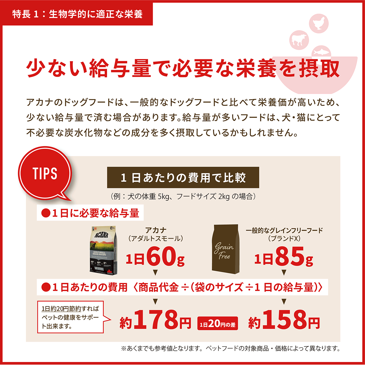 ACANA（アカナ） インドアエントリー 4.5kg 全年齢猫用 (お取り寄せ/5