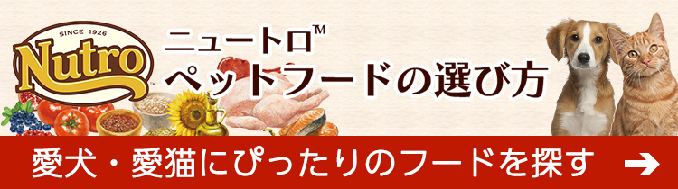 ニュートロ