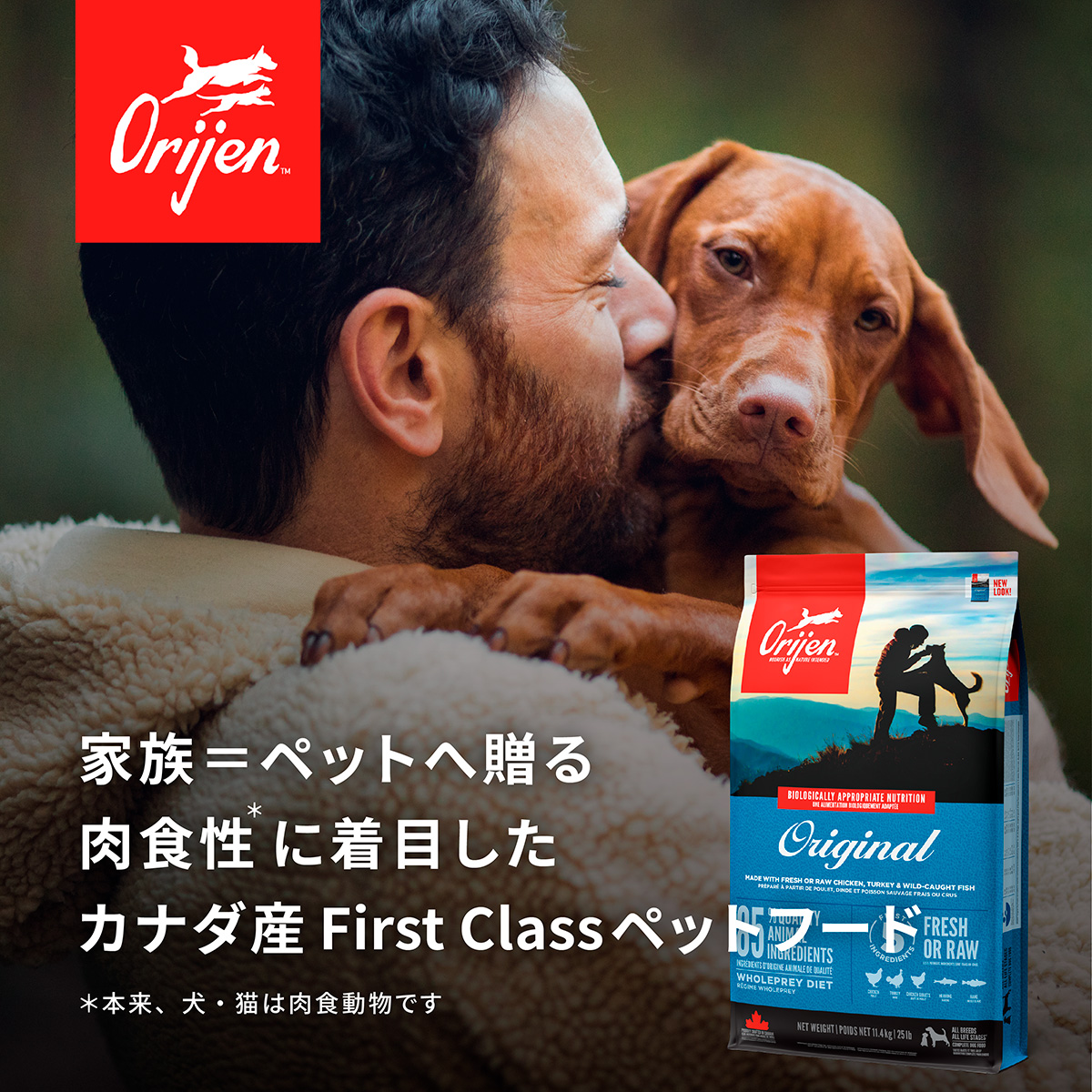Orijen Senior オリジン シニア ドッグフード 6kg ORIJEN（オリジン） シニア 6kg シニア犬用 全犬種用 (お取り寄せ/5