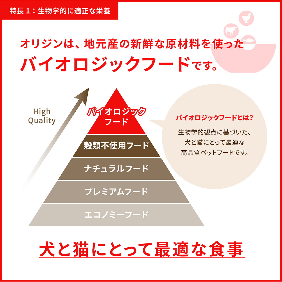 ORIJEN（オリジン） (メーカー欠品中) レジオナルレッドドッグ 6kg 全