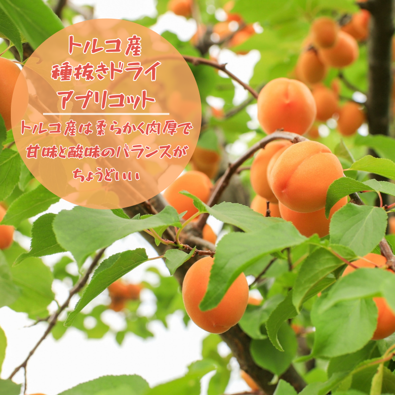 あんずの画像1